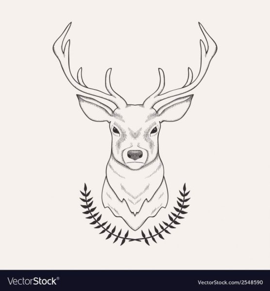 Рисунок оленя для срисовки