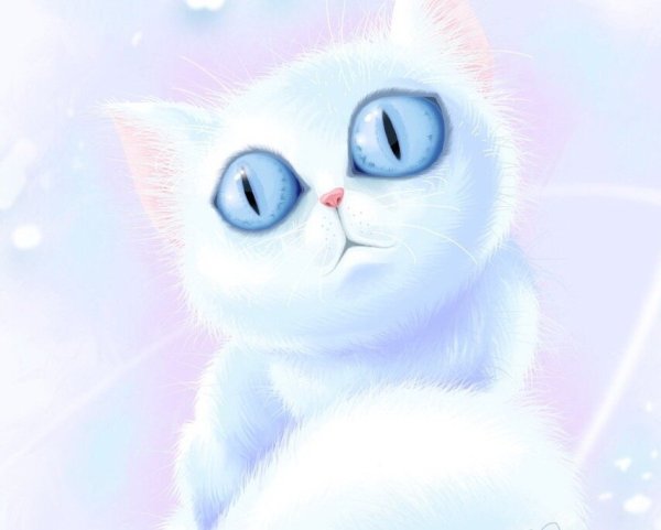 Милые котики на голубом фоне