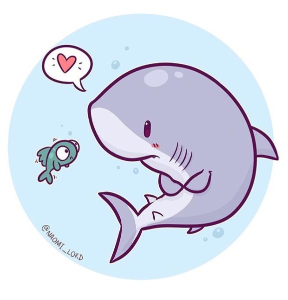 Милые рисуночки акула