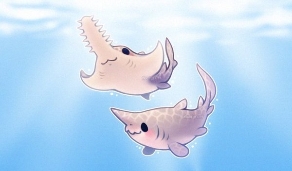 Floofyfluff акулы