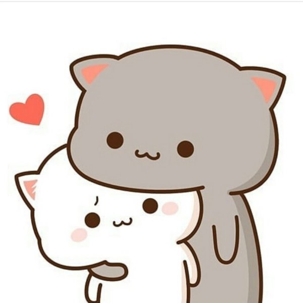 Кавайные котики любовь