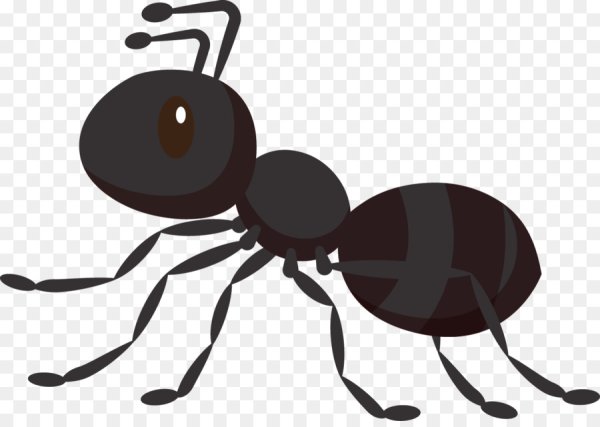 Муравей картинка для детей