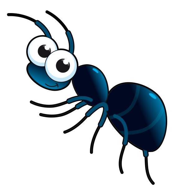 Черный муравей