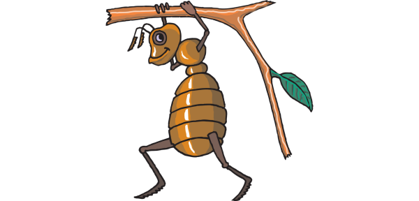 Муравьишка на прозрачном фоне