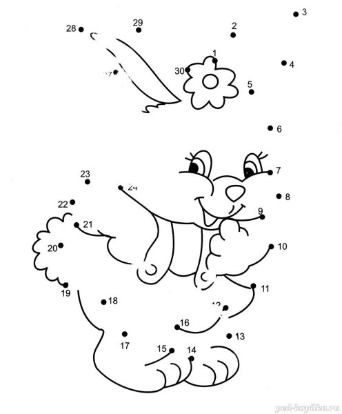 Котик по точкам