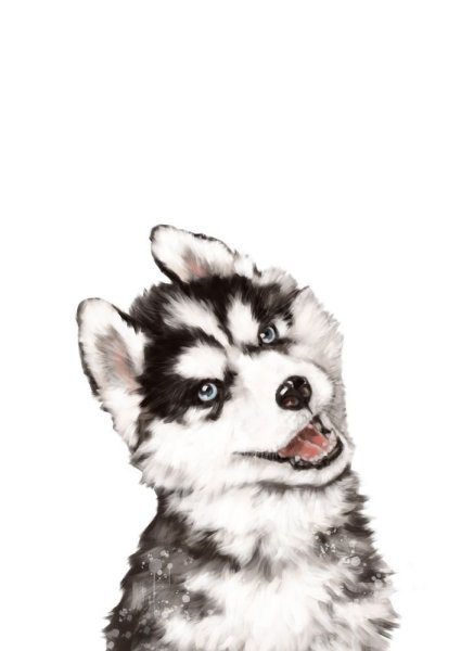 Милые рисунки хаски