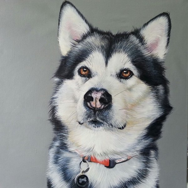 Хаски акрилом