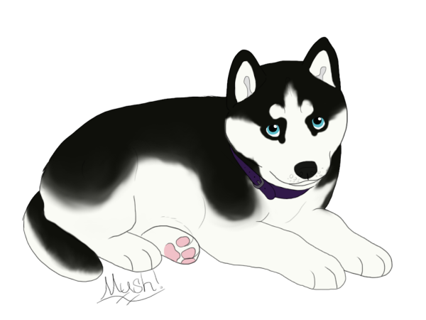 Собака хаски мультяшная