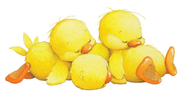 Милый цыпленок арт