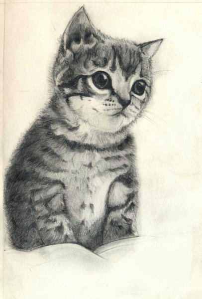 Рисунки котов для срисовки