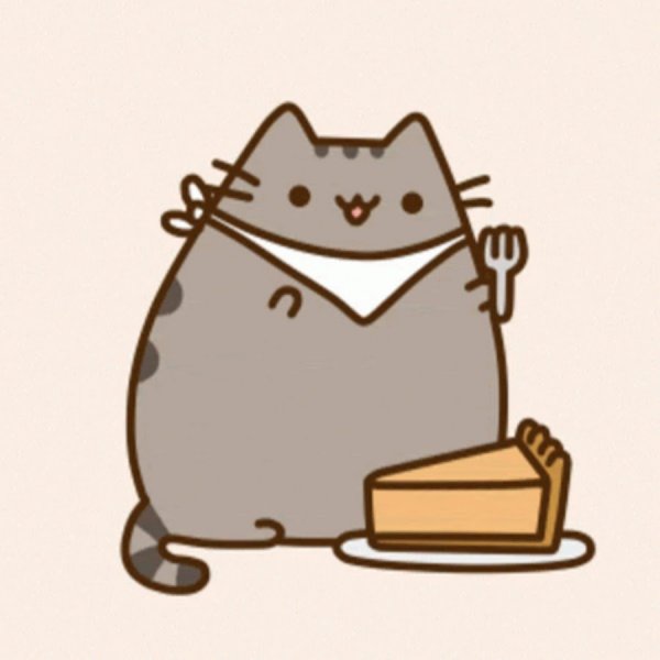 Котика Пушина