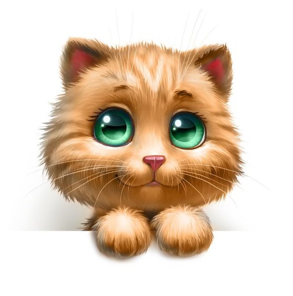 Мультяшный кот