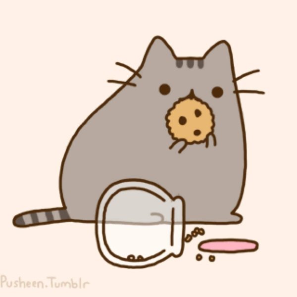 Няшные котики рисунки для срисовки