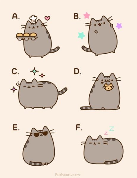 Котики для личного дневника