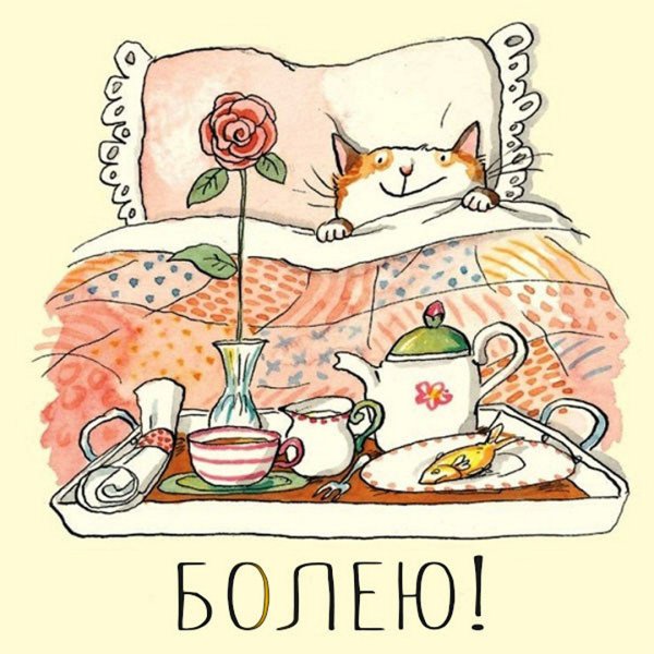 Кот завтрак в постель