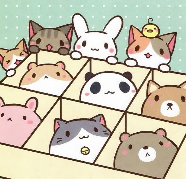 Кавайные котята