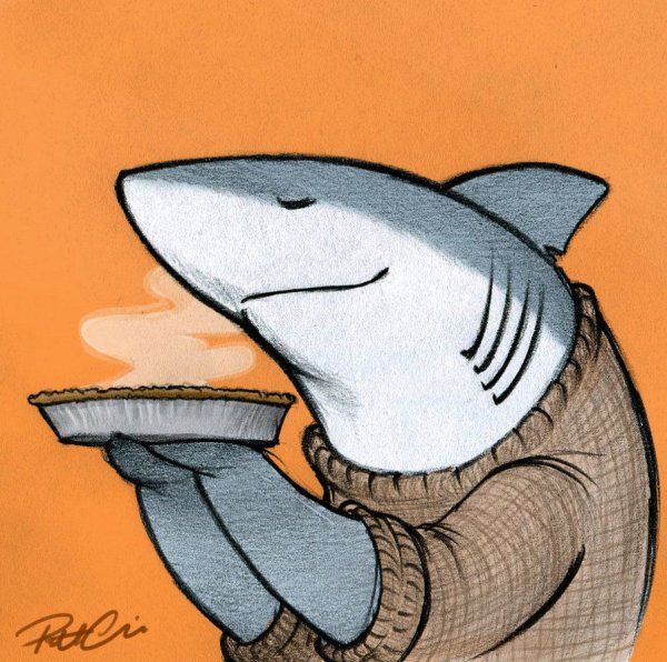 Акула арт милый