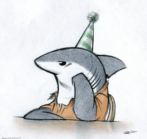 Картинки акулы для срисовки