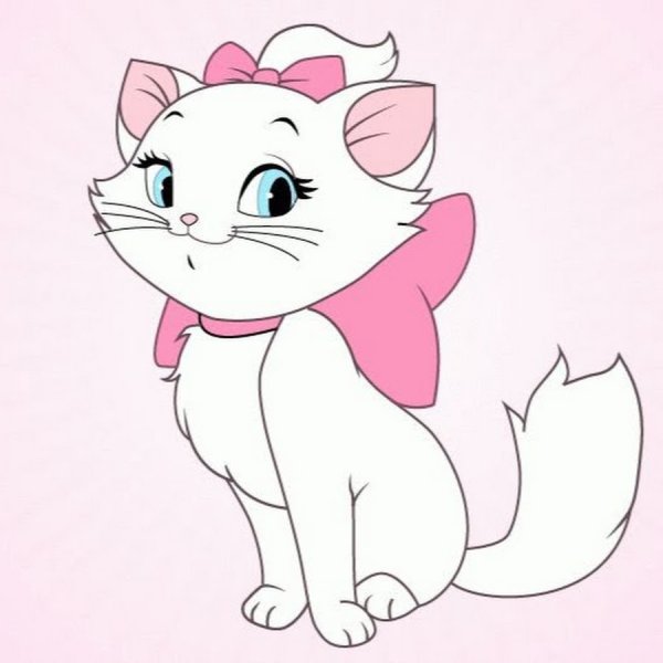 Розовый котенок