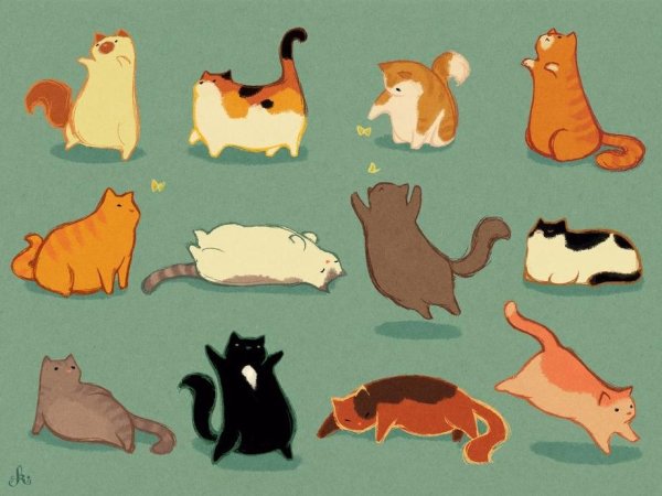 Толстый котик референс