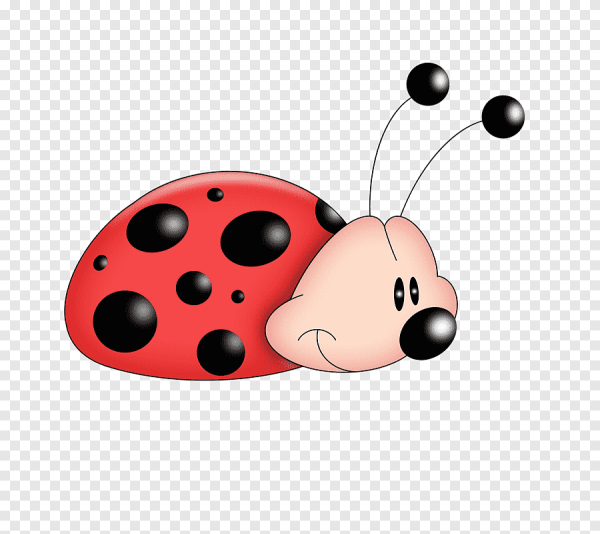 Маленькая Божья коровка рисунок