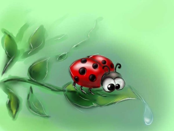 Бабочка коробочка