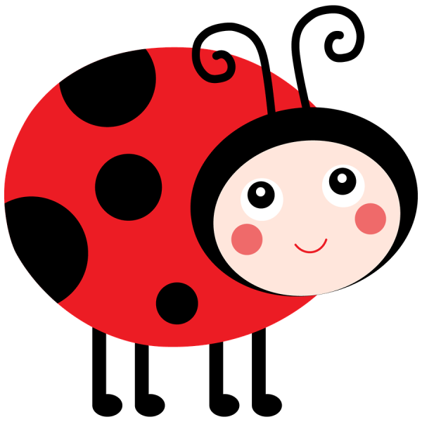 Божья коровка на белом фоне