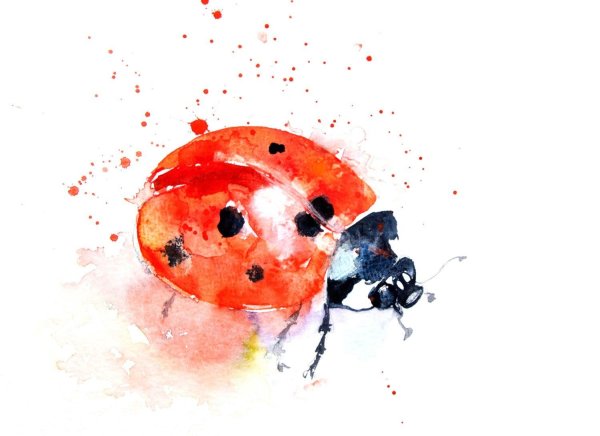Коровка акварелью