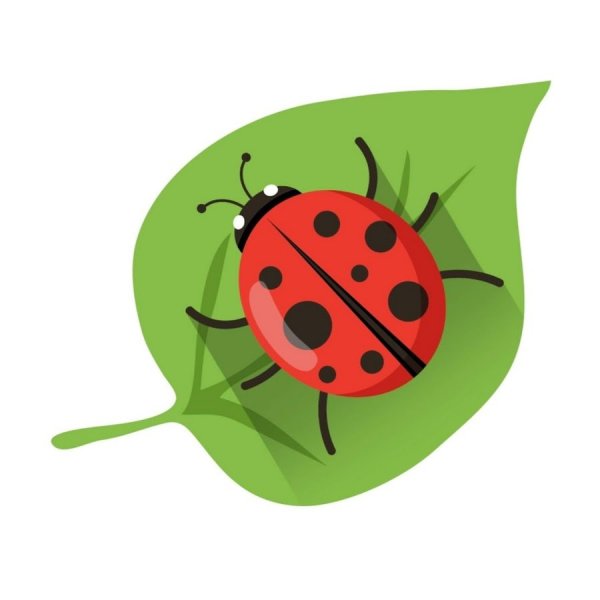 Божья коровка логотип