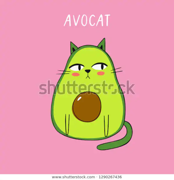 Авокадо кошка рисунок