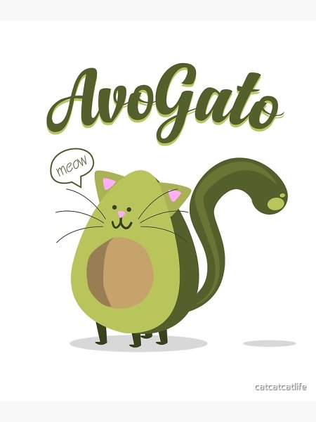 Милое авокадо котик