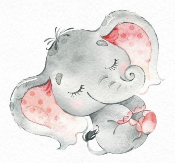 Милые иллюстрации животных