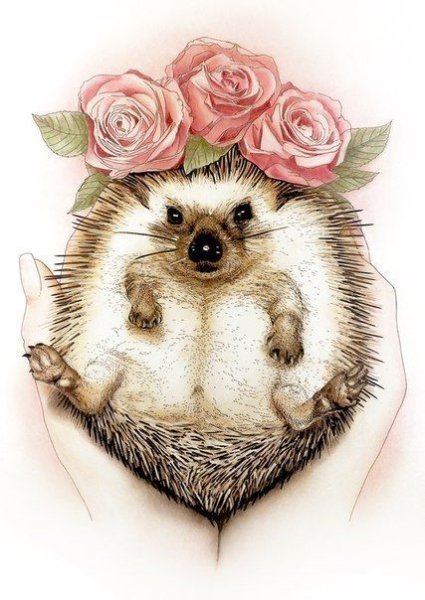 Милые иллюстрации животных