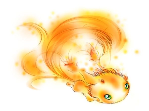 Белка огонь