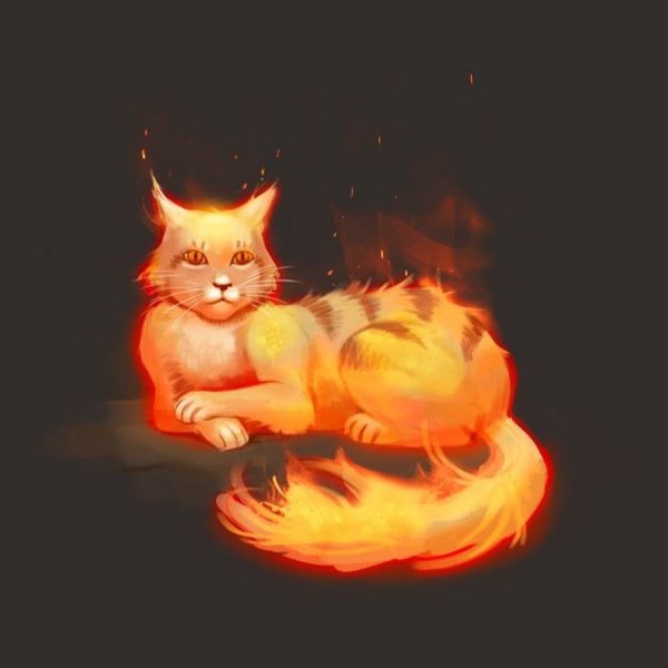 Огненный котенок