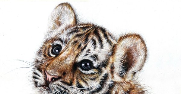 Тигр мультяшный