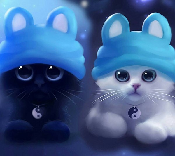 Японский кролик Моланг