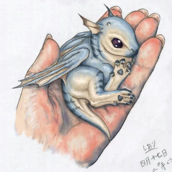 Милые дракончики