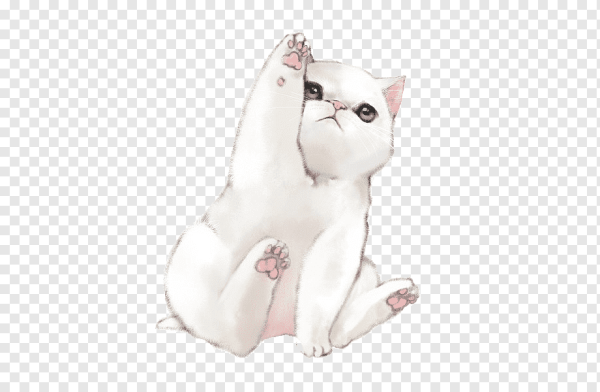 Стикеры котики на белом фоне