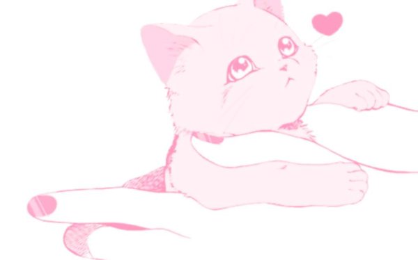Розовый котик аниме
