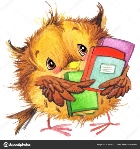 Совушка школа акварелью с книгами