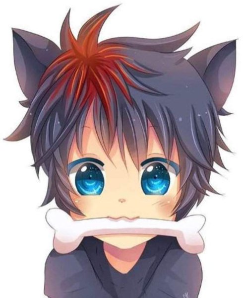 Няшный аниме кун