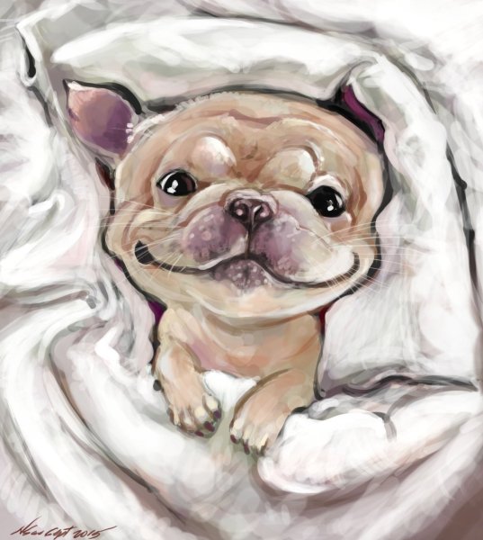 Арты животных