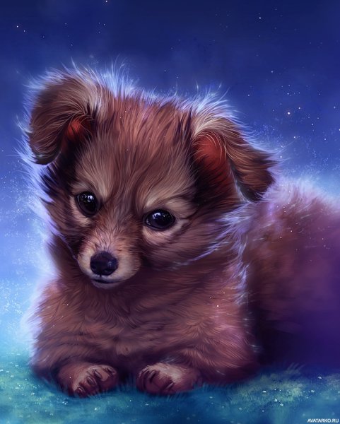 Рисунок щенка для срисовки