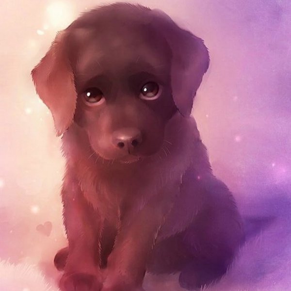 Собачка Лисичка шпиц