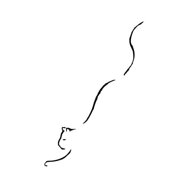 Тату кошка одной линией