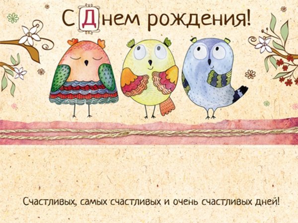 Открытка с совой с днем рождения