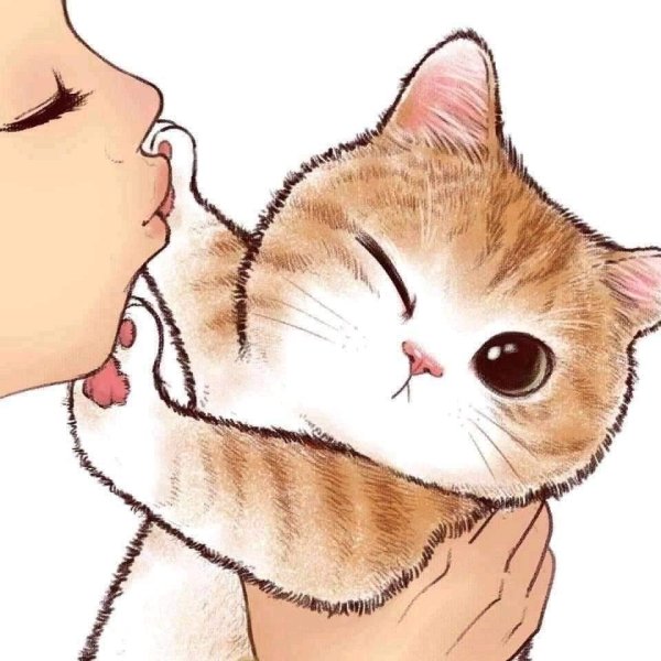 Милый кот рисунок