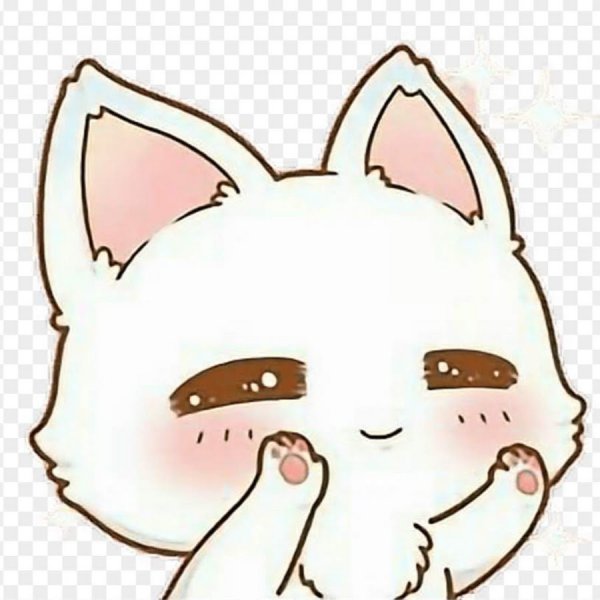 Рисунки для срисовки котики легкие