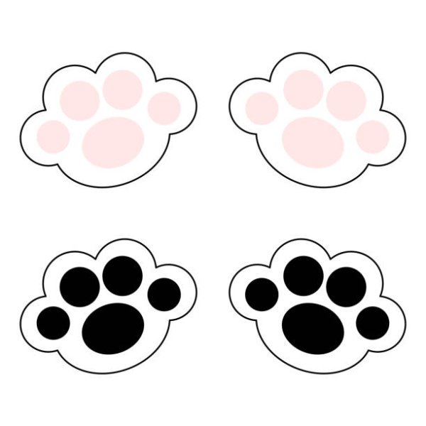 Мордочка и лапки котика